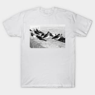 Birds and People relaxing at the beach T-Shirt